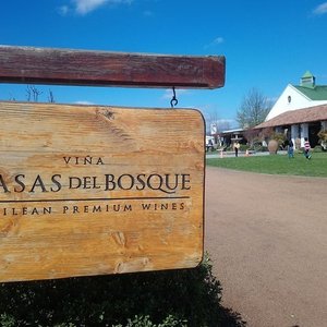 Viña Casas del Bosque (Casablanca) - Lo que se debe saber antes de viajar -  Tripadvisor