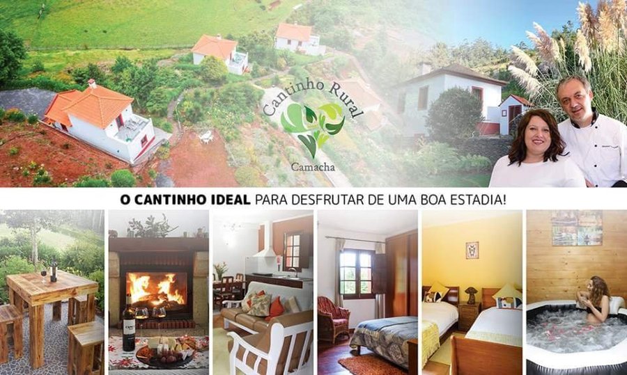 Jacuzzi, fireplace, barbecue, gardens, relaxing and comfortable holiday homes