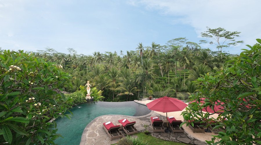 Infinity Pool with Rice Fields View