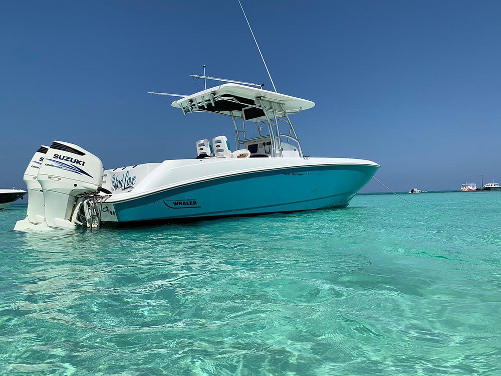 THE 10 BEST Grand Cayman Fishing Charters & Tours (2023)