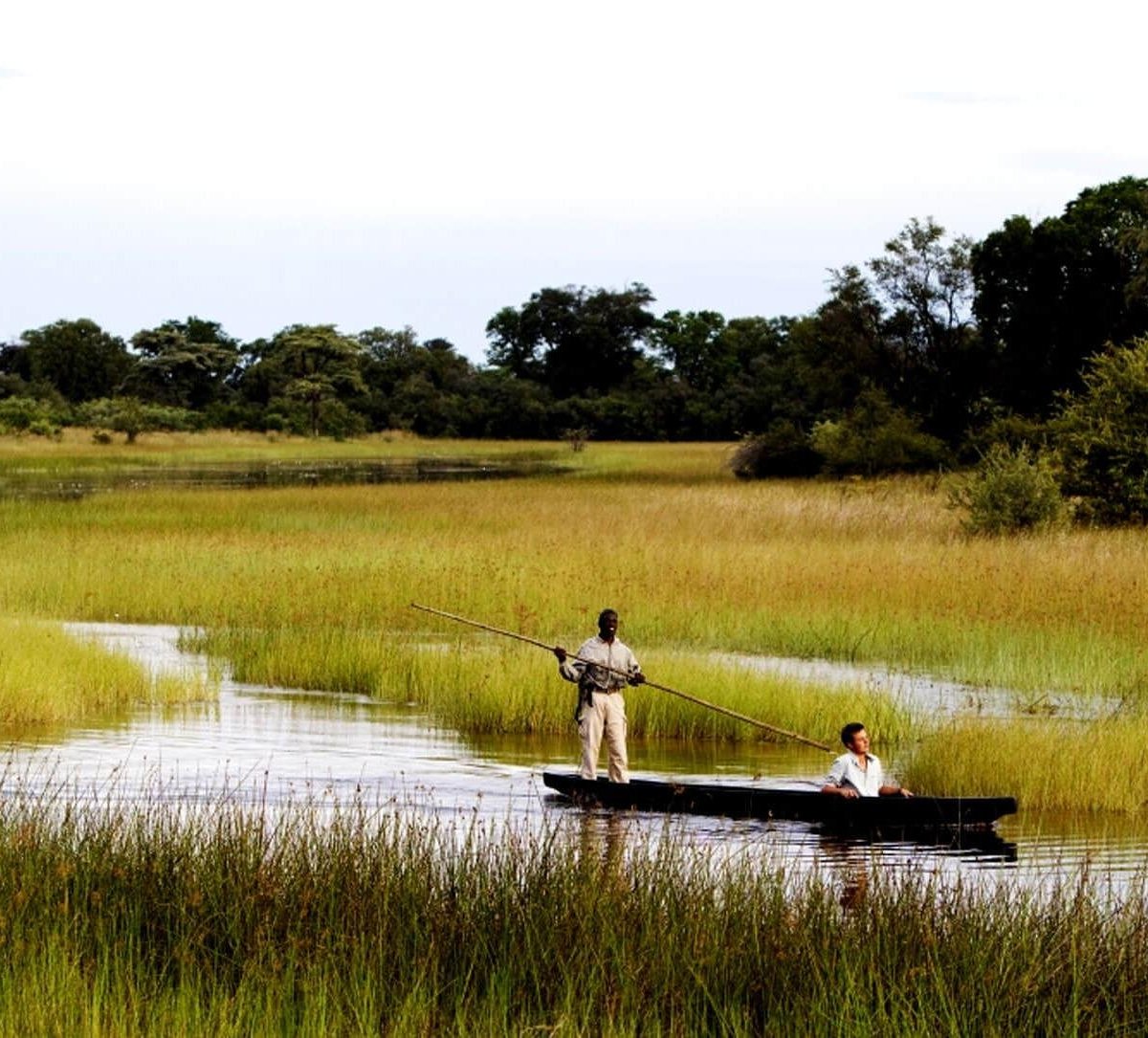 THAOGE SAFARIS (Maun) - All You Need to Know BEFORE You Go