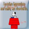 Donatella M
