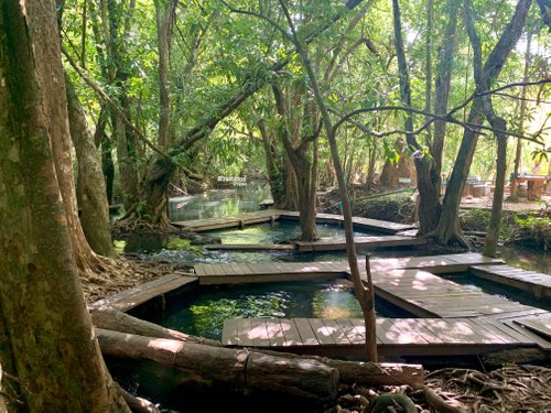 สถานที่ชมธรรมชาติ/ชีวิตสัตว์ป่าที่ดีที่สุดใน จังหวัดนครศรีธรรมราช -  Tripadvisor