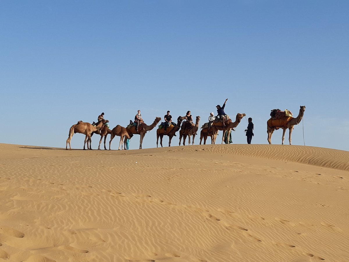 The Desert Life Camel Safari, Джайсалмер: лучшие советы перед посещением -  Tripadvisor