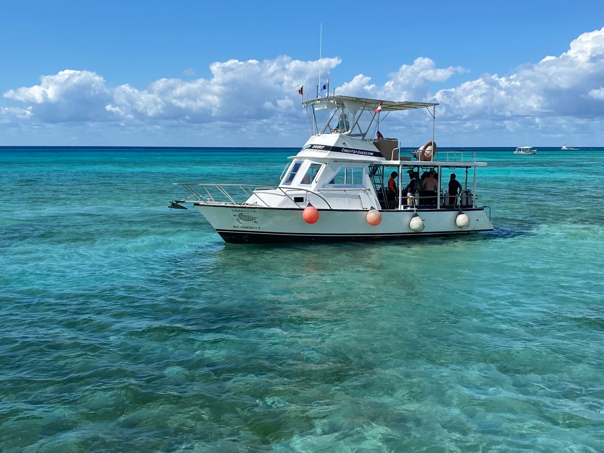 Careyitos Divers (Cozumel) - All You Need to Know BEFORE You Go