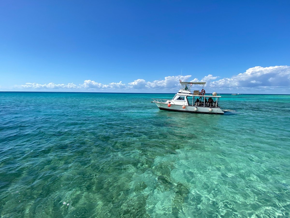 Careyitos Divers (Cozumel) - All You Need to Know BEFORE You Go