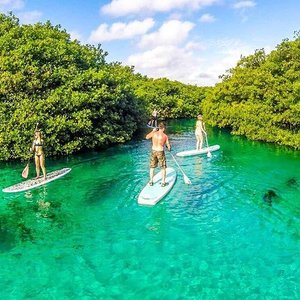 Casa Cenote (Tulum) - All You Need to Know BEFORE You Go