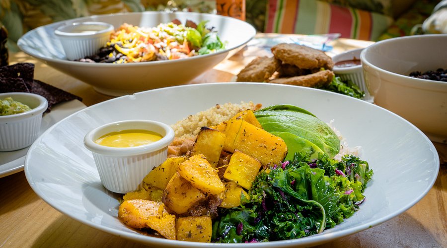 Jungle Cafe