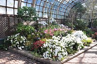 Lincoln Park Conservatory And Its Stunning Botanical Gardens Will Finally  Reopen Tomorrow - Secret Chicago