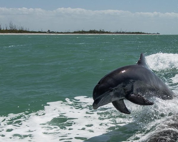 Chokoloskee Bay (Everglades National Park) - All You Need to Know ...