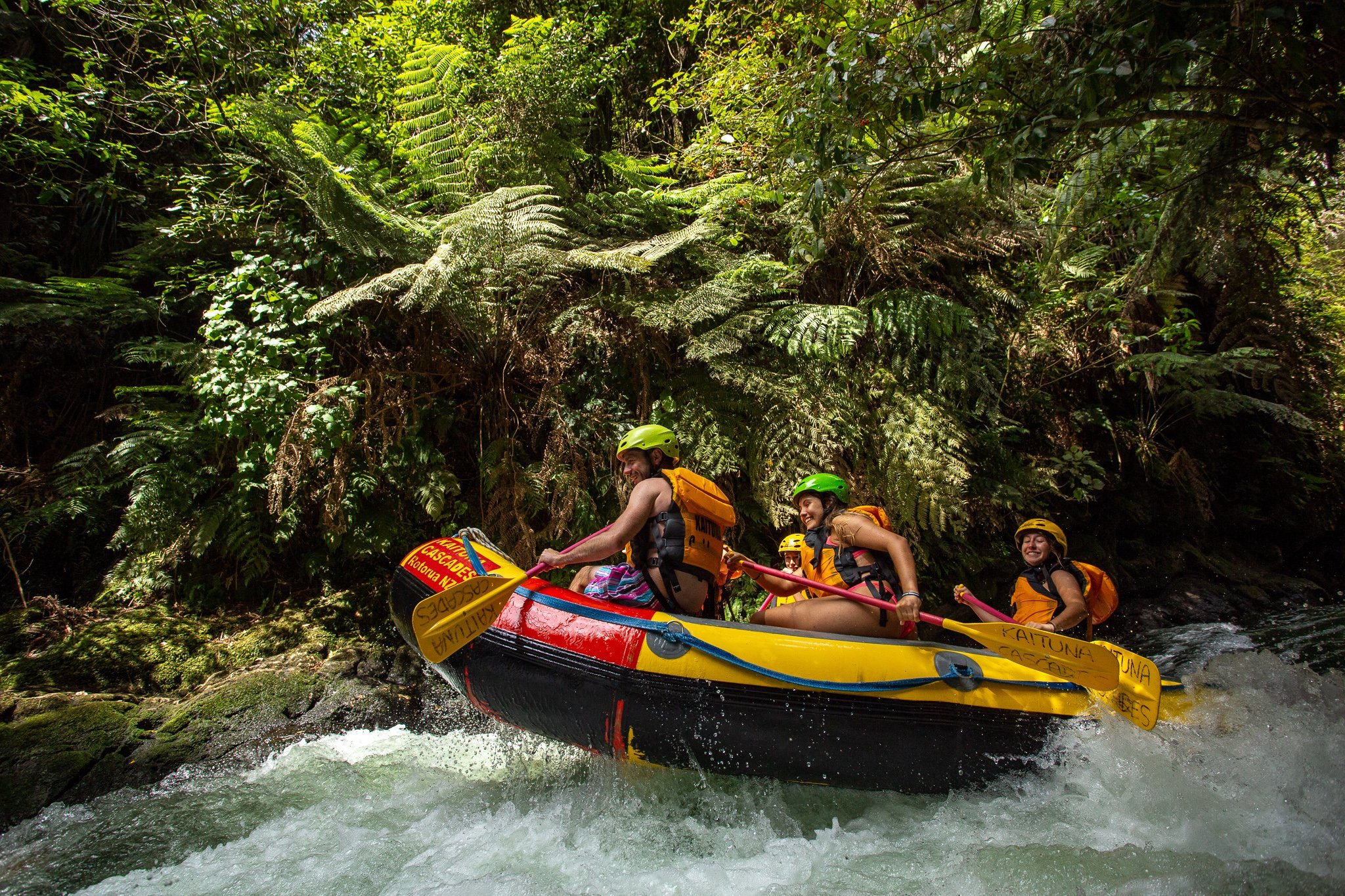 Kaituna Cascades - All You Need to Know BEFORE You Go (2024)