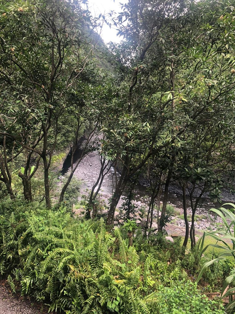 Gite L'eden du Randonneur Hôtel (Ile de La Réunion/Le Tampon) : tarifs ...