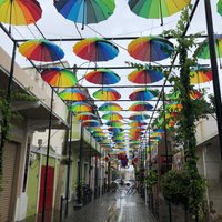 Umbrella Street (Puerto Plata) - All You Need to Know BEFORE You Go