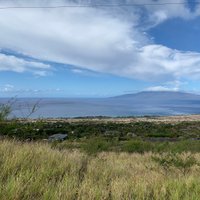 Lahaina Stables (Maui) - All You Need to Know BEFORE You Go