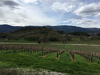 Joseph Phelps Vineyards - All You Need to Know BEFORE You Go (with Photos)
