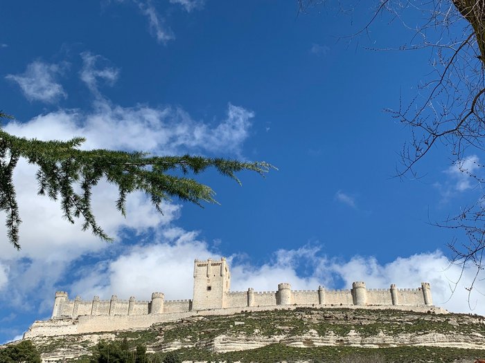 Imagen 9 de Castillo de Peñafiel