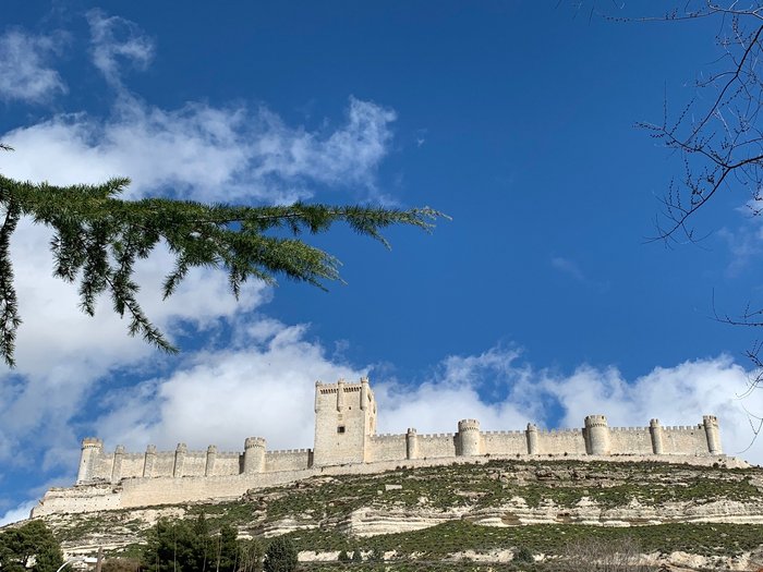 Imagen 8 de Castillo de Peñafiel