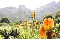 21年 カーステンボッシュ国立植物園 行く前に 見どころをチェック トリップアドバイザー