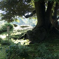 虎が前足を低くして吠える姿を連想させることから「とらいし」と名付けられた自然石で魔除けの石だとされてますが、知らなければただの石にしか見えませんでした。