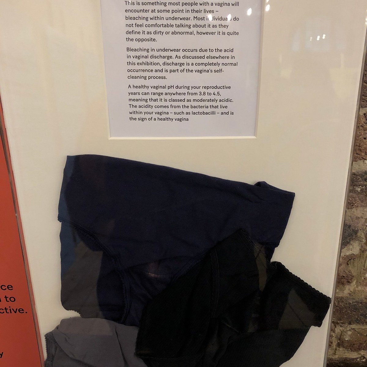 Le Vagina Museum de Londres se moque (gentiment) de la mascotte des JO 2024  de Paris