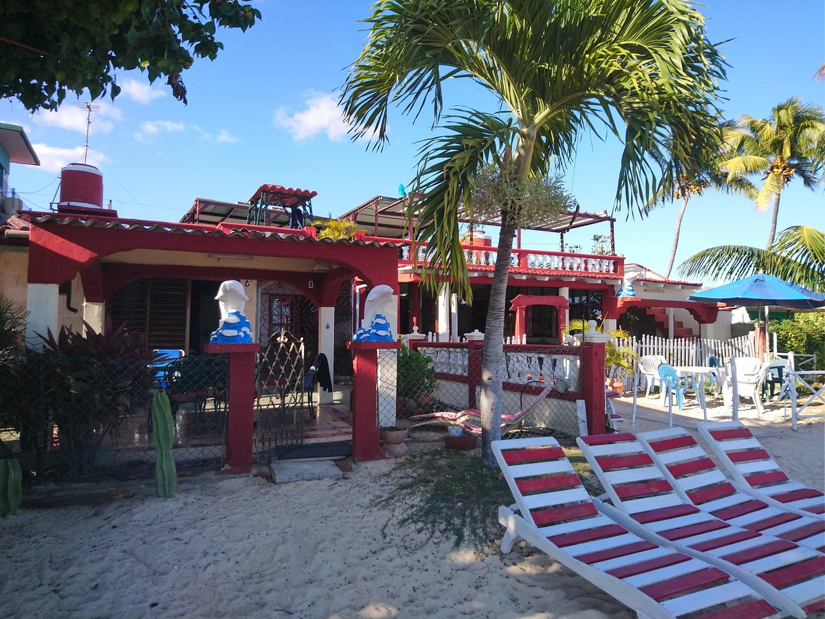 Farniente dans la baie des cochons - Avis de voyageurs sur Hostal KIKI,  Playa Larga - Tripadvisor