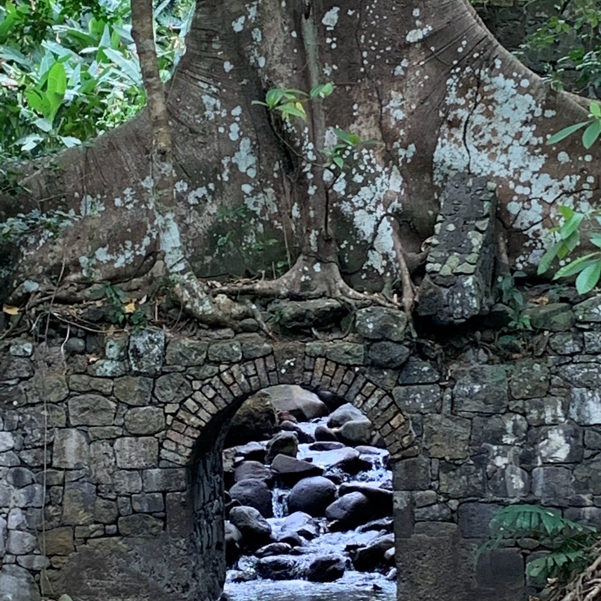 Petit Bordel Waterfall (Petit St.Vincent) - Alles wat u moet weten ...