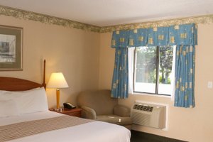 Room & Suite