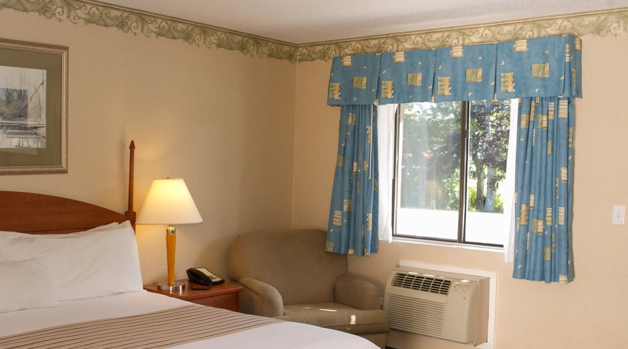 Standard King room