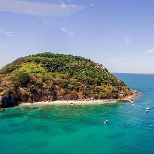 coral island tours