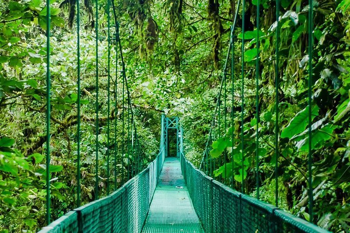 2024 Selvatura Park Hanging Bridge Tour in Monteverde