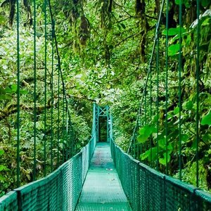 Tourist arriving to platform on a canopy cable ride, Monteverde, Santa  Elena, Costa Rica, Central America Stock Photo - Alamy