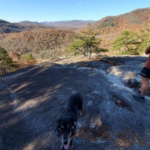 are dogs allowed at sliding rock nc