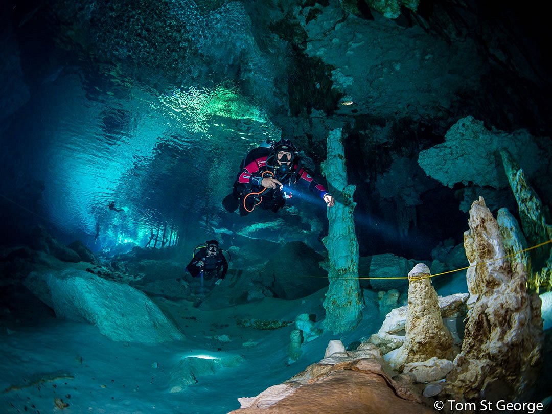 calypso dive center tulum