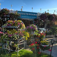 Mediterrano