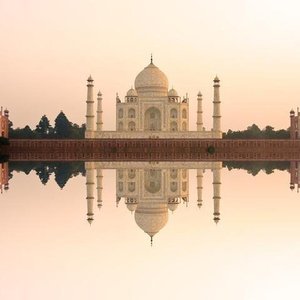 TAJ MAHAL, Tyler - Restaurant Reviews, Photos & Phone Number - Tripadvisor