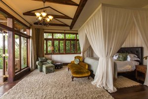 Room & Suite