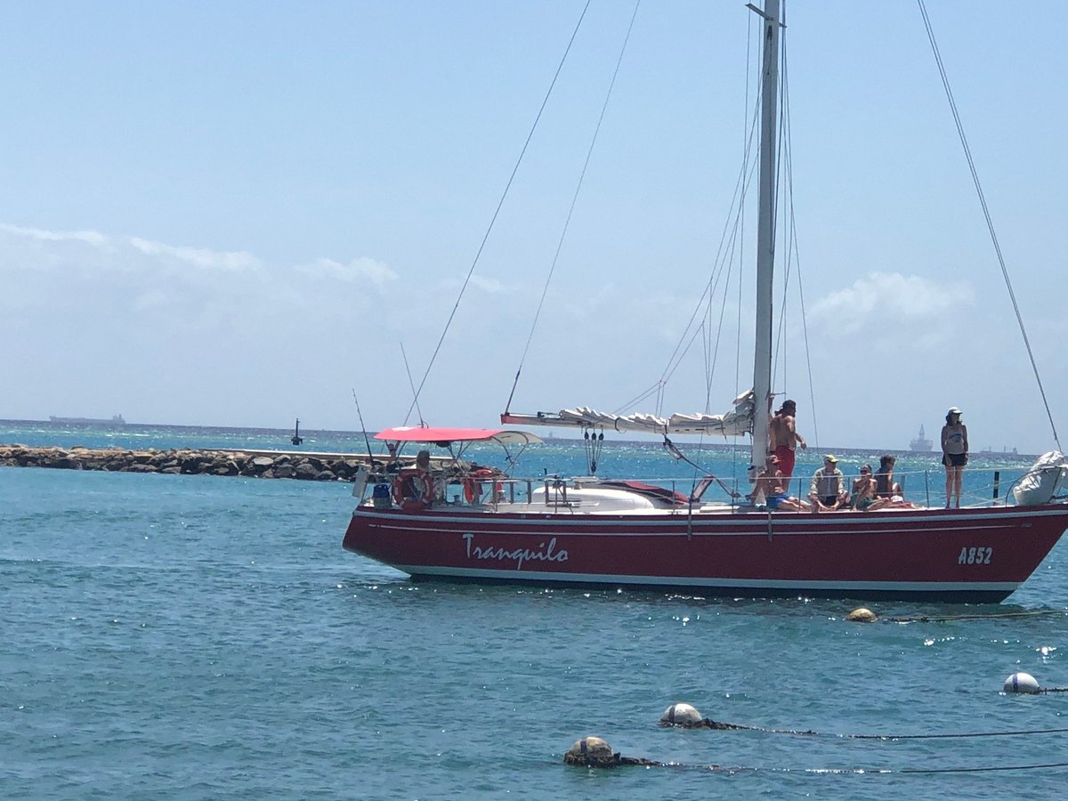 o que sailboat em portugues