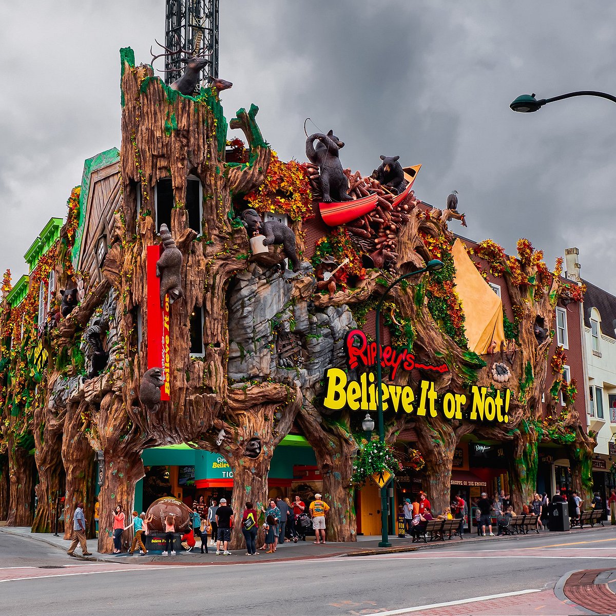 Ripley's Believe It or Not! Gatlinburg - All You Need to Know BEFORE You Go  (2024)