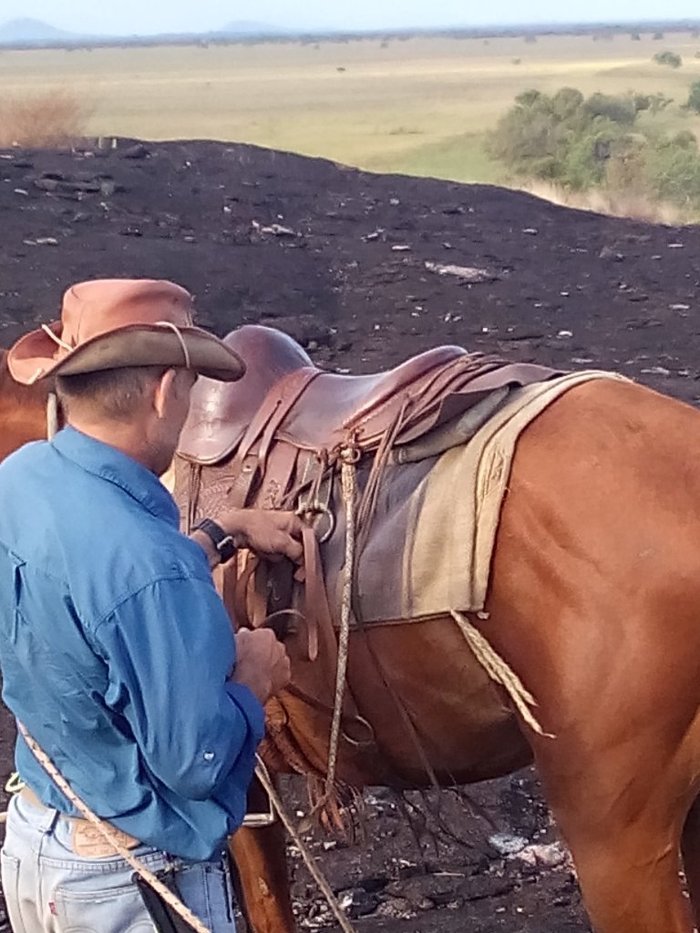 SADDLE MOUNTAIN RANCH AND ECO LODGE - Reviews (Rupununi, Guyana ...