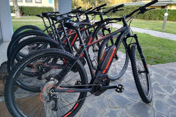 emtb electric mountain bike