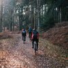 New Forest Cycling Burley