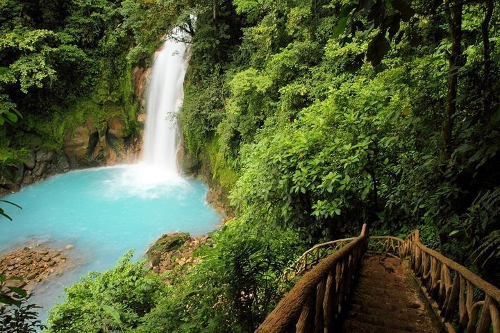 2024 Senderismo por el río Celeste y el Parque Nacional Volcán Tenorio