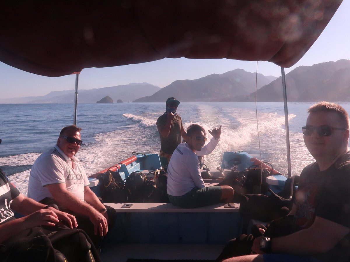 PV Ocean Tours (Puerto Vallarta) - All You Need to Know BEFORE You Go