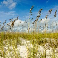 Johnson Beach (Pensacola) - All You Need to Know BEFORE You Go