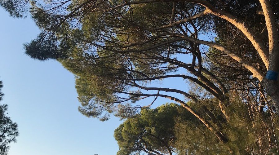 arrivée sur le belvédère 