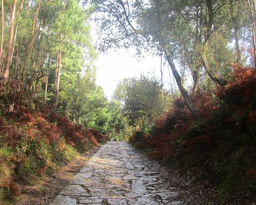 As melhores trilhas de Moto Trail em Porto (Portugal)