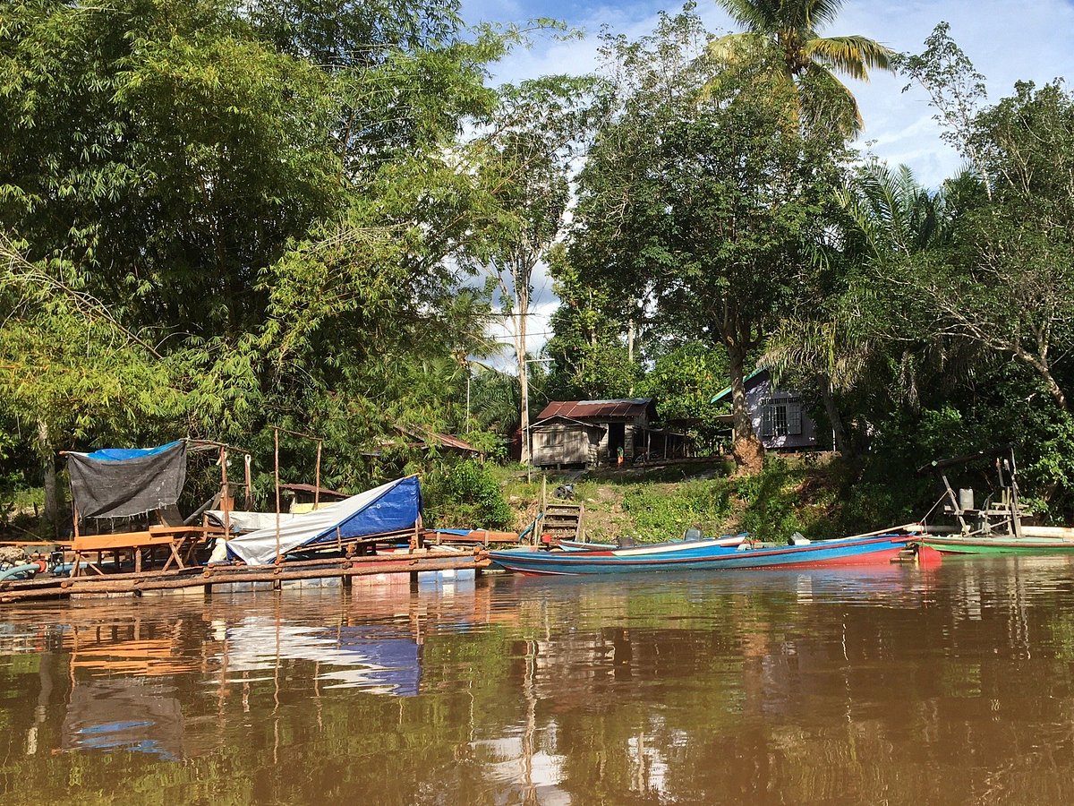 Jungle river boat - Reviews, Photos - Wow Borneo - Tripadvisor