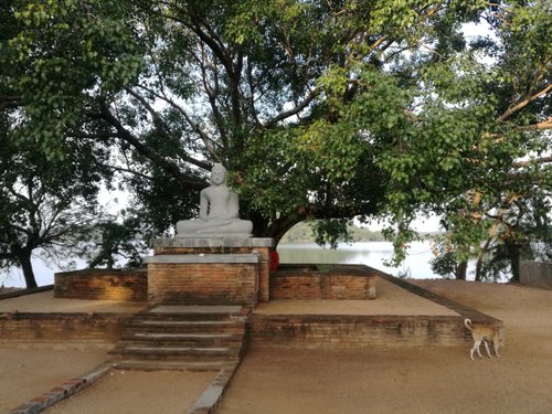 Polonnaruwa Travel with Sarath review images