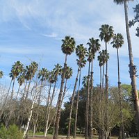 Overfelt Gardens (San Jose) - All You Need to Know BEFORE You Go