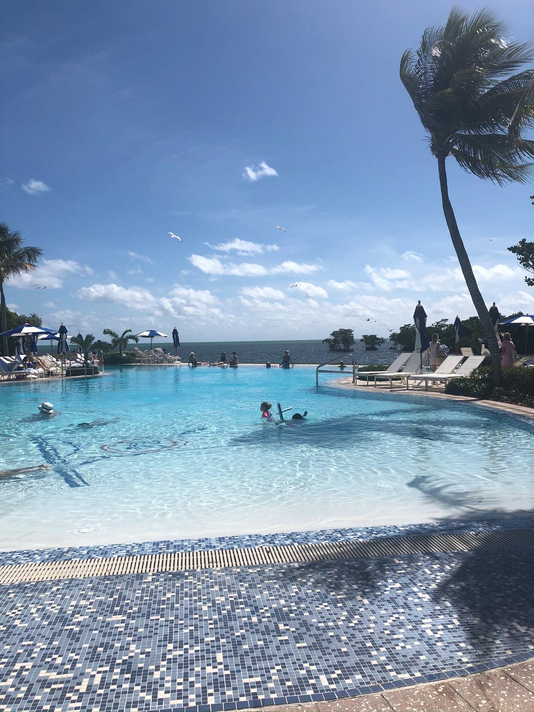 OCEAN REEF CLUB - Updated 2024 Resort Reviews (Key Largo, FL)